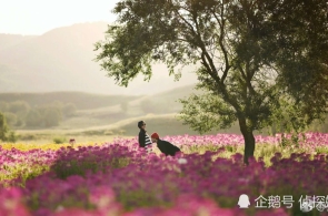 李强缔结邦务院令 宣告《邦务院合于实行〈中华苍生共和邦公条例〉注册资金注册管束轨制的轨则》